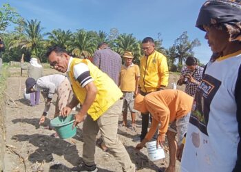 Timbul Jaya Sibarani Bina Demplot Pertanian Organik di Kecamatan Sidamanik