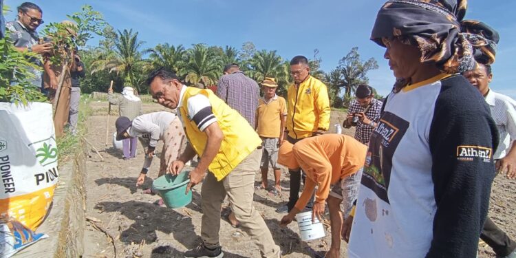 Timbul Jaya Sibarani Bina Demplot Pertanian Organik di Kecamatan Sidamanik