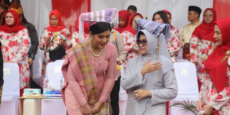 Colorful Medan Karnival 2023 Dimeriahkan Rombongan dr Susanti Dewayani SpA dari Siantar