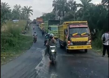 Pemkab Labuhanbatu Tutup Mata, Puluhan IRT Geruduk PKS Pulo Padang