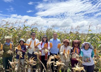 TPL Bersama Mitra Perusahaan Perkebunan Kayu Rakyat Panen Perdana Tanaman Jagung
