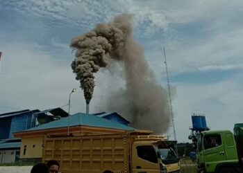 PT.Pulo Padang Sawit Permai