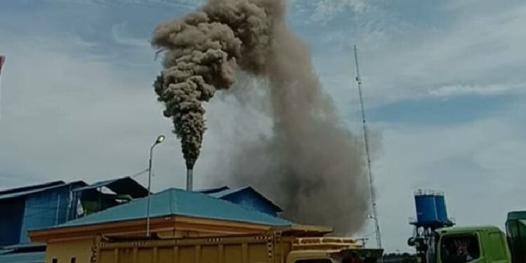 PT.Pulo Padang Sawit Permai