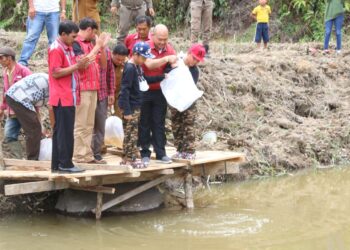 Bupati Taput Tabur Benih Ikan Tawar di Desa Parbubu II Kecamatan Tarutung