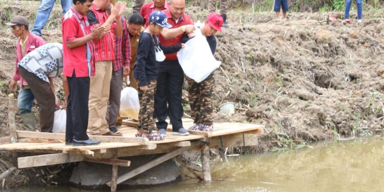 Bupati Taput Tabur Benih Ikan Tawar di Desa Parbubu II Kecamatan Tarutung