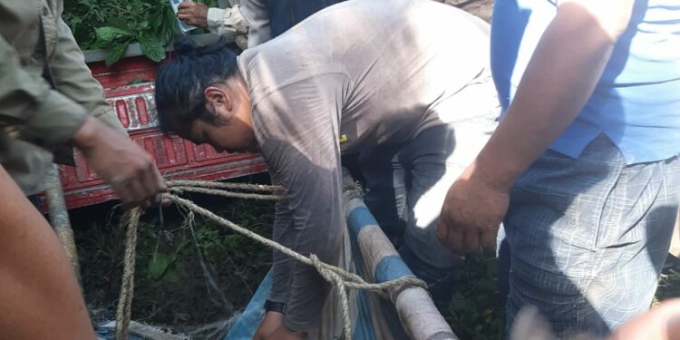Harimau Sumatera Tertangkap Jerat Petani di Huta Marihat Tongah Nagori Marihat Raja Kecamatan Dolok Panribuan, Simalungun, Sumut