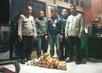 25 Bal Ganja Diamankan Polisi di Jalan Tangki, Pemiliknya ?