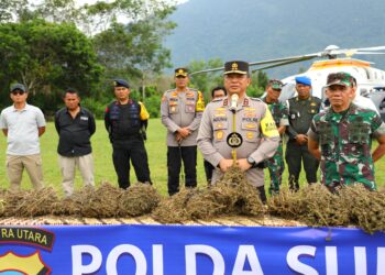 Polda Sumut Gunakan Teknologi Citra Satelit Dalam Perburuan 150 Ha Ladang Ganja