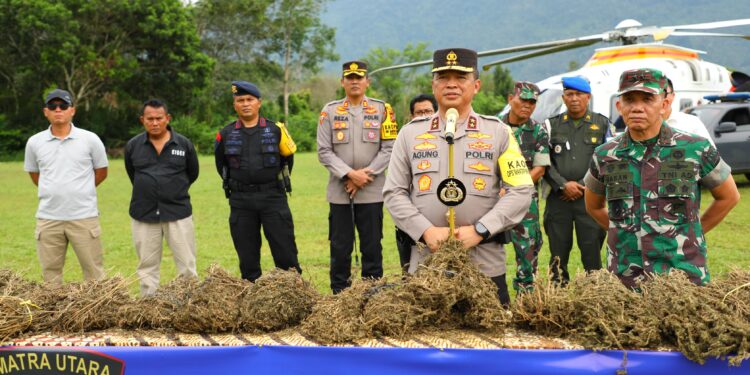 Polda Sumut Gunakan Teknologi Citra Satelit Dalam Perburuan 150 Ha Ladang Ganja Polda Sumut Gunakan Teknologi Citra Satelit Dalam Perburuan 150 Ha Ladang Ganja