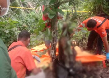 Polsek Perdagangan Evakuasi Pensiunan Karyawan BUMN Ditemukan Meninggal di Kebun Kelapa Sawit Simalungun