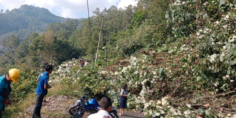 Polres Simalungun dan Warga Evakuasi Pohon Tumbang, Lalulintas Kota Wisata Parapat Kembali Lancar