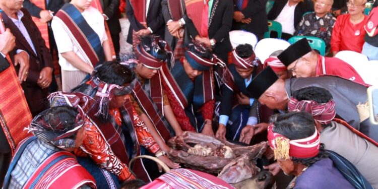 Gondang dan Tonggo Sakral di Rumah Parsaktian Limbong Mulana, Doa Untuk Energi Baru Memperbaiki Samosir
