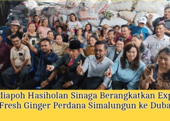 Radiapoh Hasiholan Sinaga Berangkatkan Export Jahe Segar Perdana Simalungun ke Dubai