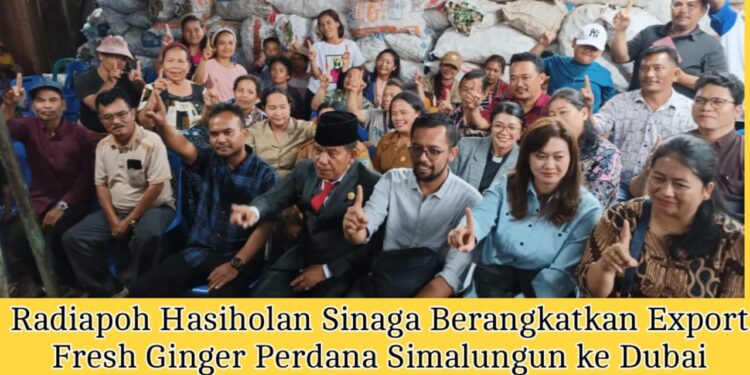 Radiapoh Hasiholan Sinaga Berangkatkan Export Jahe Segar Perdana Simalungun ke Dubai