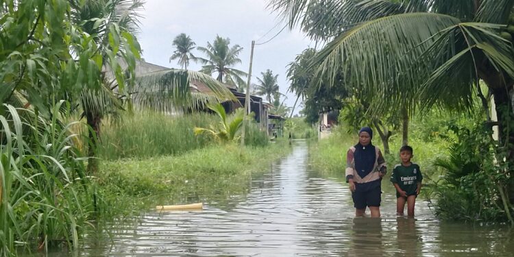 Ratusan Rumah Di Hamparan Perak Masih Tergenang Banjir, Warga Mulai Terserang Penyakit