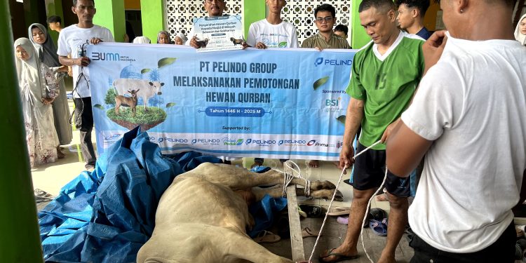 Pelindo Regional 1 Melalui PPDI Salurkan Bantuan Hewan Qurban, Wujud Kepedulian Sosial dalam Perayaan Idul Adha 1446 H