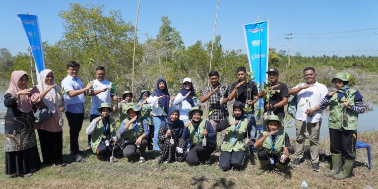 Pelindo Regional 1 Tanam Mangrove di Pesisir Batu Bara Peringati Hari Mangrove Sedunia