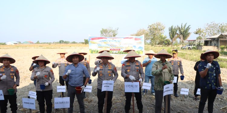 Kapolrestabes Medan Pimpin Tanam Jagung, Ubah Stigma Kawasan Jermal Kapolrestabes Medan Pimpin Tanam Jagung, Ubah Stigma Kawasan Jermal