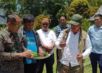 Panitia Harungguan Bolon, Patappei Sihilap Pakon Marsombuh Sihol P3BP Ziarah Ke Rumah Bolon