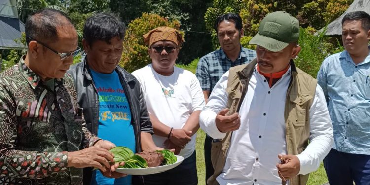 Panitia Harungguan Bolon, Patappei Sihilap Pakon Marsombuh Sihol P3BP Ziarah Ke Rumah Bolon Panitia Harungguan Bolon, Patappei Sihilap Pakon Marsombuh Sihol P3BP Ziarah Ke Rumah Bolon