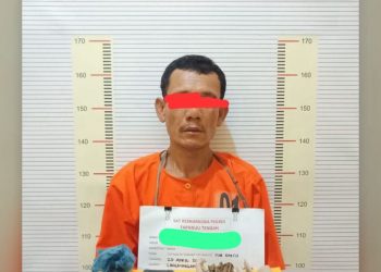 ‘Kongo’ Tumbang di Dini Hari, Polres Tapteng Bongkar Peredaran Ganja-Sabu di Lubuk Tukko