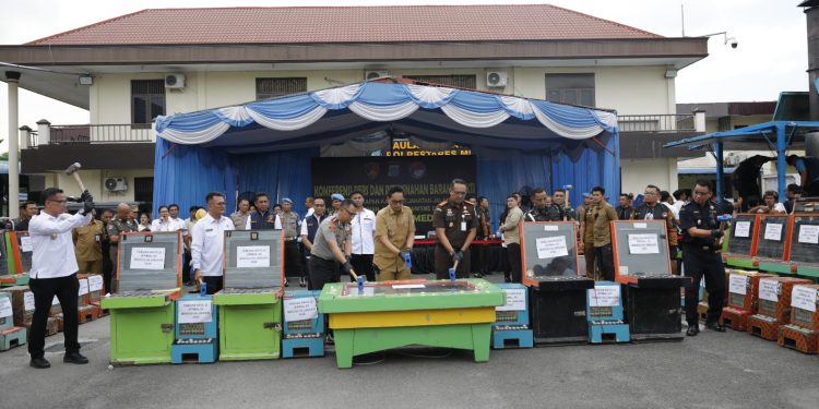 184 Pelaku Kejahatan Diamankan Polrestabes Medan, Narkoba dan Judi Jadi Sorotan 184 Pelaku Kejahatan Diamankan Polrestabes Medan, Narkoba dan Judi Jadi Sorotan
