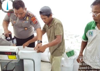 Kapolsek Siantar Marihat Kawal Langsung Penjualan Jagung Petani ke Bulog