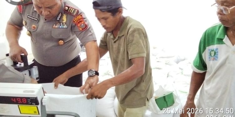 Kapolsek Siantar Marihat Kawal Langsung Penjualan Jagung Petani ke Bulog