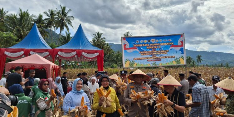 Brimob Sumut Hadir di Panen Raya Jagung Tapsel, Perkuat Ketahanan Pangan untuk Masa Depan Bangsa