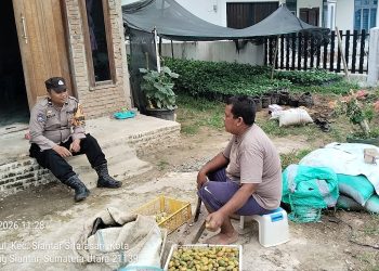 Dukung Ketahanan Pangan, Bhabinkamtibmas Polsek Siantar Martoba Apresiasi Warga yang Sulap Pekarangan Jadi Kebun Produktif