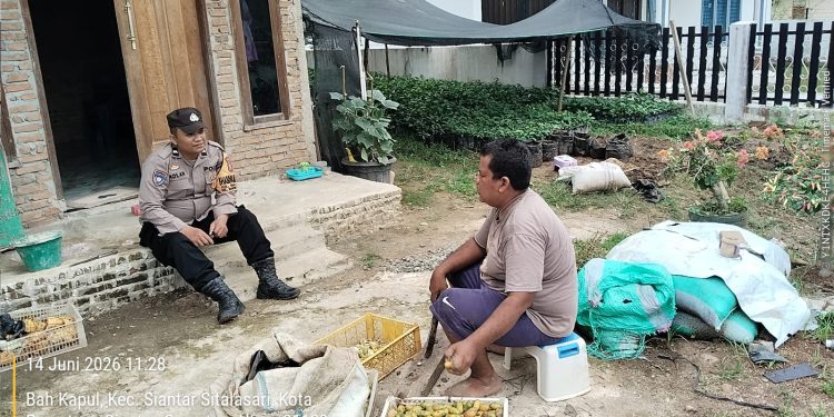 Dukung Ketahanan Pangan, Bhabinkamtibmas Polsek Siantar Martoba Apresiasi Warga yang Sulap Pekarangan Jadi Kebun Produktif