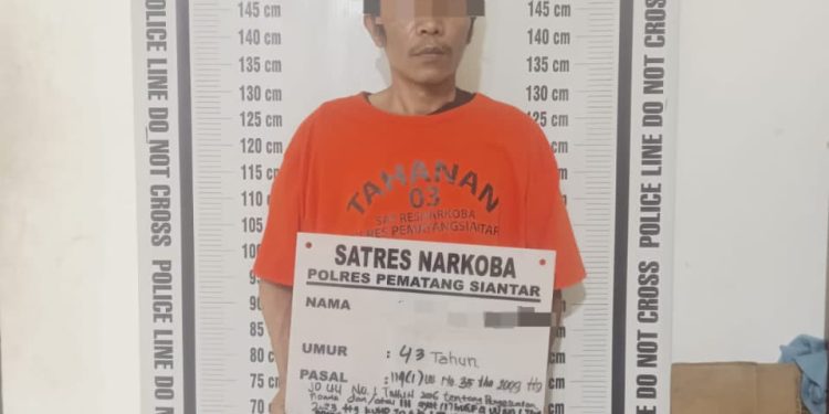 Duduk Santai di Warung, Pria di Siantar Utara Diciduk Polisi dengan 9 Paket Ganja