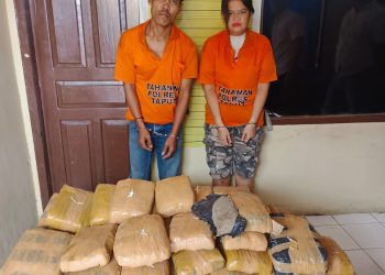 Sat Narkoba Polres Taput Amankan Dua Kurir Narkoba, 112 Paket Ganja Kering Disita