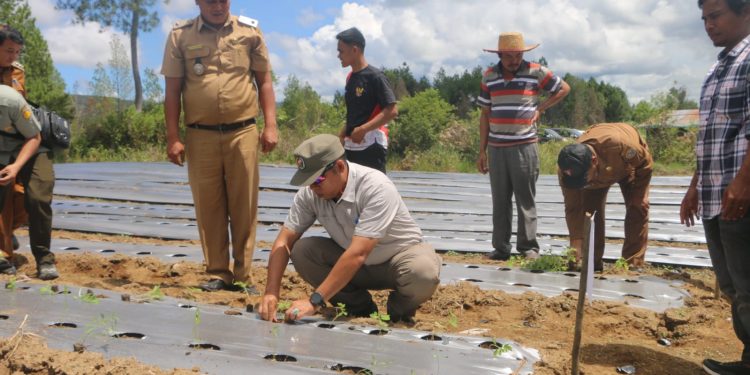 Bupati Taput Dorong BUMDes Sisordak Jadi Pemasok Program Makan Bergizi Gratis