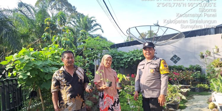 Dukung Ketahanan Pangan, Bhabinkamtibmas Polsek Siantar Marihat Bagikan Bibit Cabai dan Terong kepada Warga Dukung Ketahanan Pangan, Bhabinkamtibmas Polsek Siantar Marihat Bagikan Bibit Cabai dan Terong kepada Warga