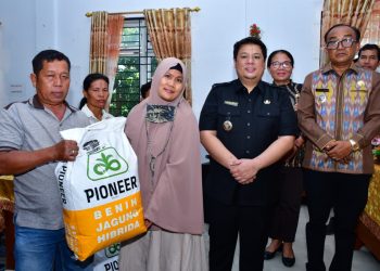 Pemkab Samosir Salurkan Bibit Jagung untuk 50 Hektare, Bupati: Jangan Dijual, Manfaatkan Maksimal
