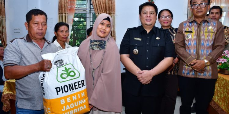 Pemkab Samosir Salurkan Bibit Jagung untuk 50 Hektare, Bupati: Jangan Dijual, Manfaatkan Maksimal Pemkab Samosir Salurkan Bibit Jagung untuk 50 Hektare, Bupati: Jangan Dijual, Manfaatkan Maksimal