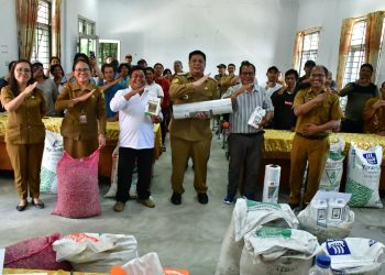 Hasil Kolaborasi Sumut Berkah, Bupati Samosir Serahkan Bantuan Bibit Pengembangan Cabai dan Bawang Merah 