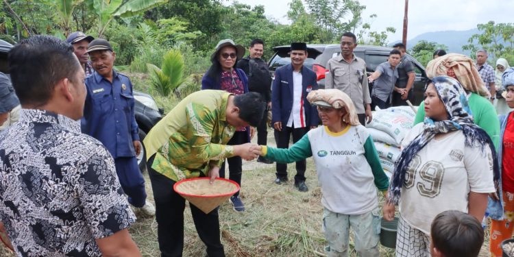 Menjawab Kepercayaan Pusat, Bupati Samosir Tanam Bawang Putih Bantuan Kementan bersama Kelompok Tani