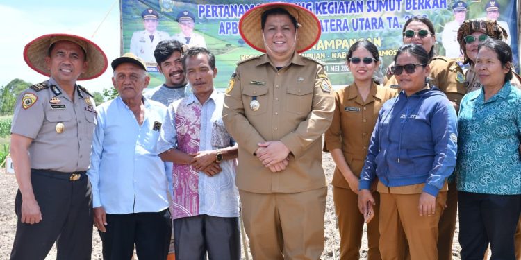 Gubsu Bantu Bibit Jagung 40 Hektare, Bupati Vandiko Turun Lapangan Tanam Benih Bersama Petani Gubsu Bantu Bibit Jagung 40 Hektare, Bupati Vandiko Turun Lapangan Tanam Benih Bersama Petani