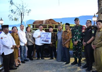 Bupati Samosir Serahkan Hewan Qurban Bantuan Presiden dan Pemkab, Perkuat Toleransi dan Kepedulian Sosial