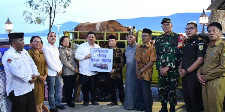 Bupati Samosir Serahkan Hewan Qurban Bantuan Presiden dan Pemkab, Perkuat Toleransi dan Kepedulian Sosial