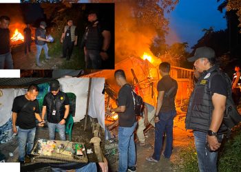 Penggerebekan Sarang Narkoba di Klambir V, Polisi Tangkap FS dan Bakar Barak
