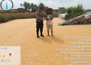 Dampingi Petani Jagung, Bhabinkamtibmas Polsek Siantar Marihat Serap Keluhan Soal Harga dan Pembayaran Bulog