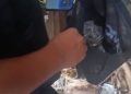 64 Paket Ganja Disembunyikan di Pohon Bambu, Polisi Buru Pemasok