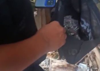 64 Paket Ganja Disembunyikan di Pohon Bambu, Polisi Buru Pemasok