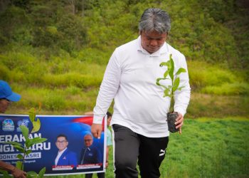‎Sinergi Jaga Kelestarian Alam, Pemkab Tapanuli Utara Bersama DPC Partai Demokrat Gelar Gotong Royong dan Penanaman Pohon di Tarutung