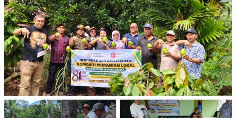 ‎Dukung Kelancaran Ekonomi Pertanian, Bupati Taput Tinjau Pembangunan Jalan Hotmix dan Jembatan di Sipahutar