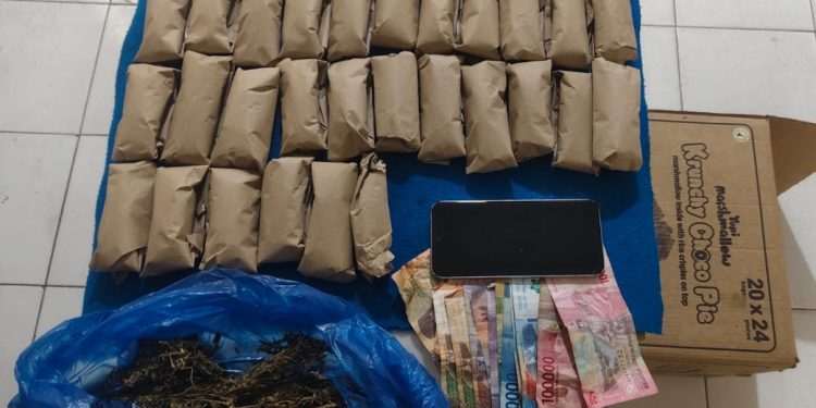 Kos di Jalan Kaveleri Digerebek, Pemuda 20 Tahun Diciduk Bawa Puluhan Paket Ganja Kos di Jalan Kaveleri Digerebek, Pemuda 20 Tahun Diciduk Bawa Puluhan Paket Ganja