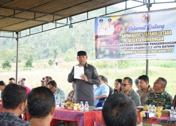 ‎Dorong Kesejahteraan Petani, Pemkab Tapanuli Utara Gerakkan Penanaman 2,2 Juta Batang Kopi Arabika  ‎ 